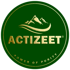 ACTIZEET site logo