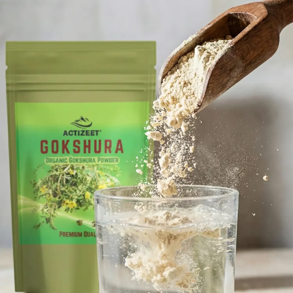 ACTIZEET Gokshura Powder Premium Herbal Extract