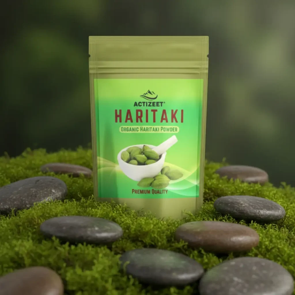 ACTIZEET Haritaki pouch nestled in green moss and river stones