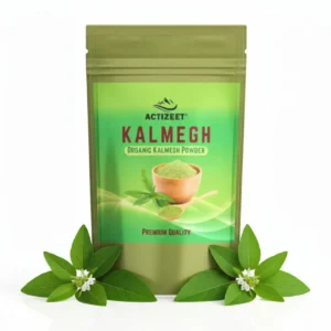 ACTIZEET Kalmegh powder pouch surrounded by fresh Andrographis leaves