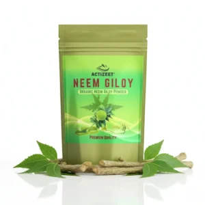 ACTIZEET Neem Giloy powder