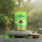 ACTIZEET product on a smooth river stone with green leaves