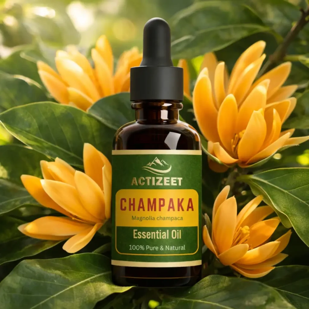 Champaca Essential Oil for Massage and Aromatherapy