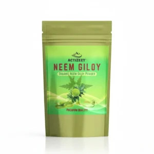 Front view of ACTIZEET Neem Giloy Powder pouch on white background