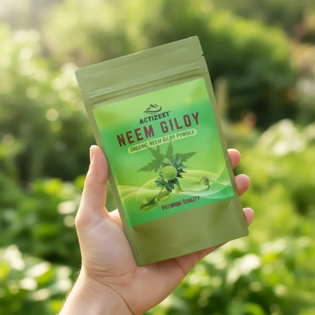 Neem Giloy powder in hand