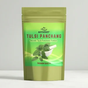 Tulsi Powder