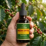 Top Rated Coffee Essential Oil ACTIZEET Customer Choice
