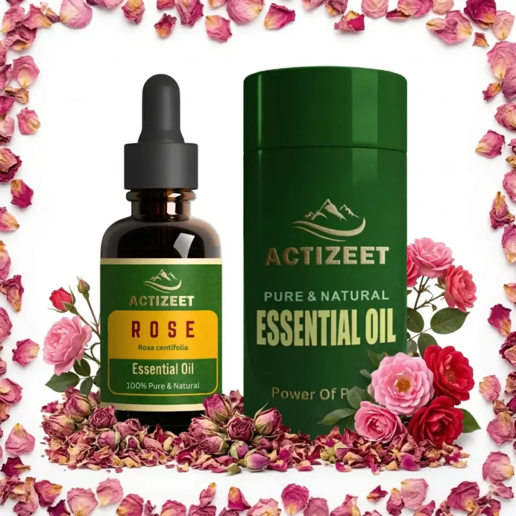 Best Rose Oil in India