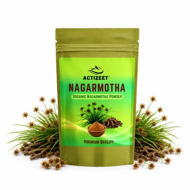 ACTIZEET Nagarmotha Powder Online – Authentic Herbal Product ACTIZEET Nagarmotha Powder Online – Authentic Herbal Product