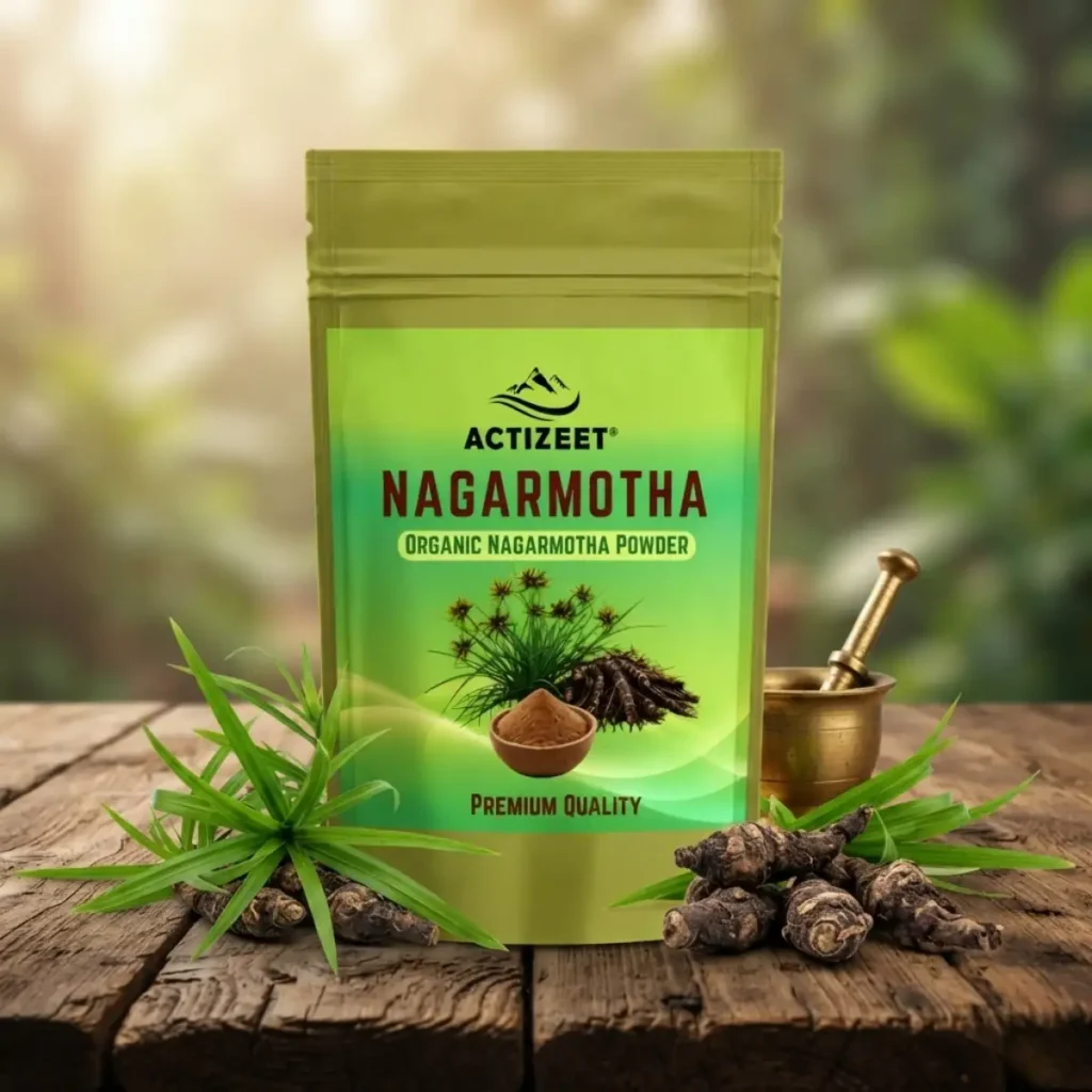 Buy ACTIZEET Nagarmotha Powder Online – Pure Herbal Powder