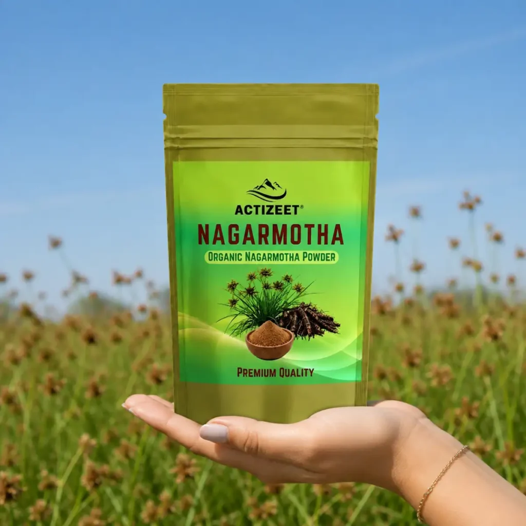 Buy Nagarmotha Root Powder Online – ACTIZEET